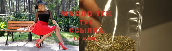 дмт Няндома