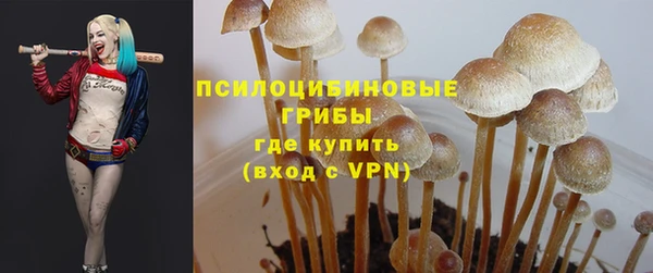 дмт Няндома