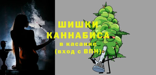 Альфа ПВП Осинники