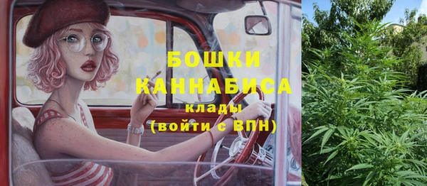 крисы Осташков