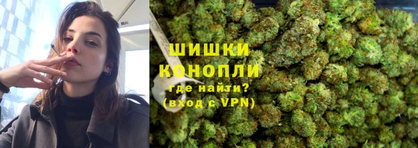 дмт Няндома