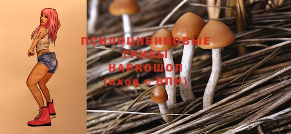 дмт Няндома