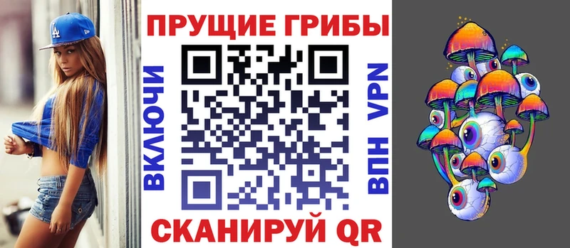 Псилоцибиновые грибы мицелий  магазин продажи наркотиков  Новоузенск 